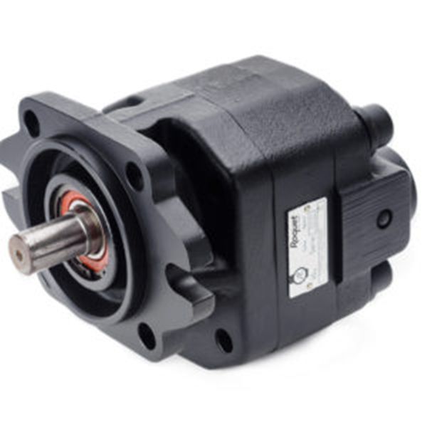 Roquet齒輪泵廠家，Roquet電機(jī)和齒輪泵，型號齊全