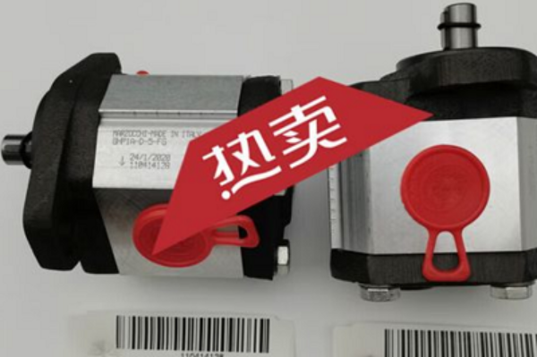 意大利Marzocchi齒輪泵GHP1A-D-7-FG，馬祖奇雙聯(lián)齒輪泵ALP2BK1-D-12-FG-V