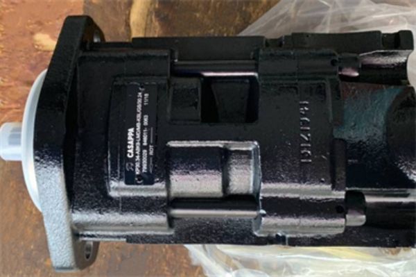 意大利CASAPPA齒輪馬達PLP10.6.3S*-88V6-LGC,PLP20.11.2D0-82E2型號說明及參數(shù)