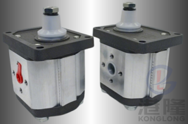 CAPRONI齒輪泵00/10/20/30系列規(guī)格、參數(shù)