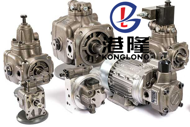 BERARMA變量葉片泵